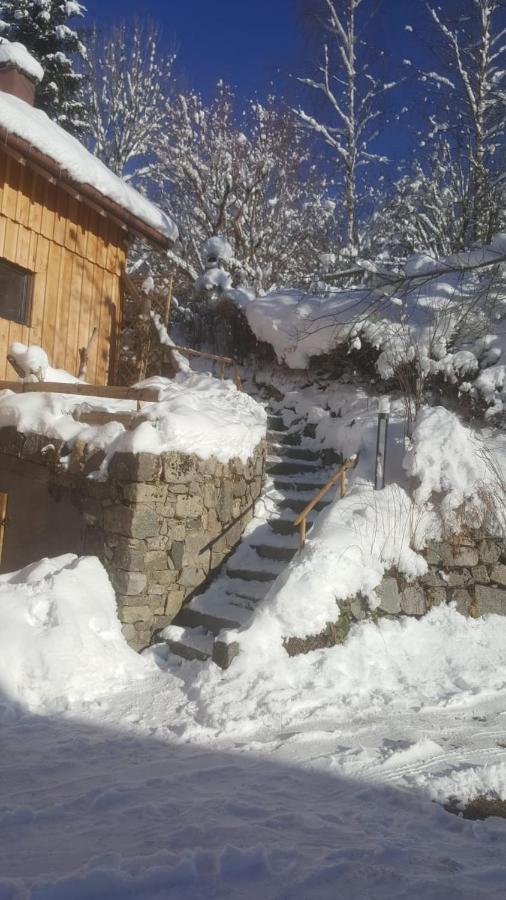 Au Grenier Du Lac Gérardmer Eksteriør billede