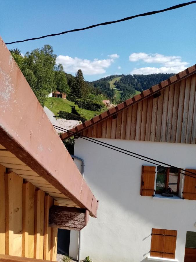 Au Grenier Du Lac Gérardmer Eksteriør billede