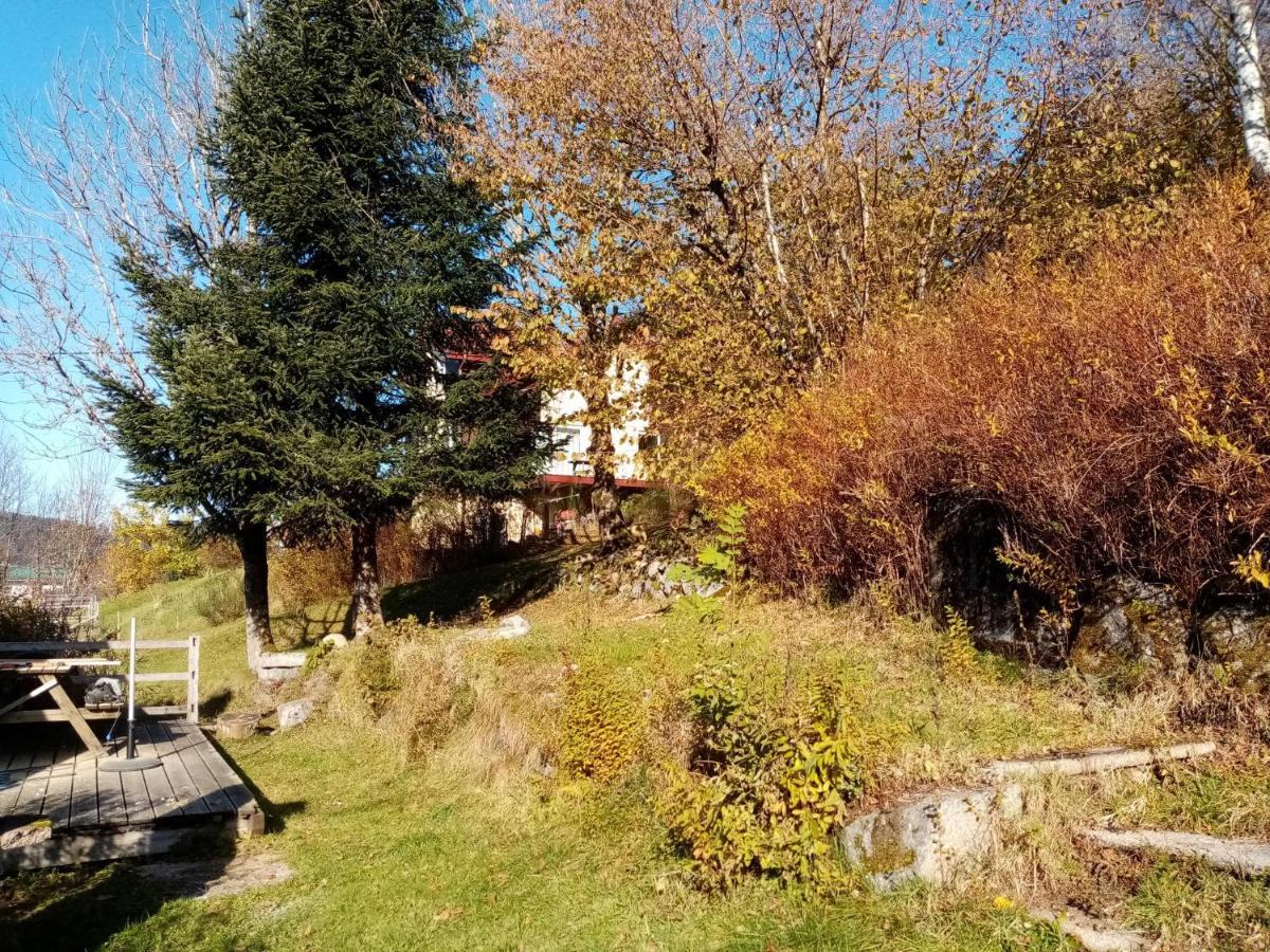 Au Grenier Du Lac Gérardmer Eksteriør billede