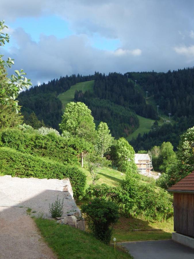 Au Grenier Du Lac Gérardmer Eksteriør billede